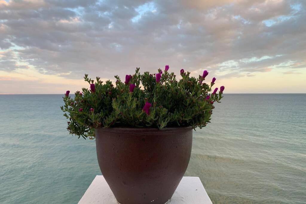 Amazing Frontline Sea Views Studio Apartment Castillo Del Vigia Torremolinos Eksteriør billede